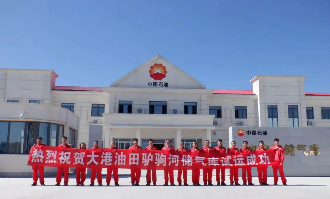 天津設計院勘察設計的國內首座井站一體標準數智化儲氣庫受到央視關注